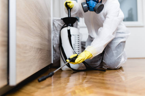  Moores Mill, AL Pest Control Pros
