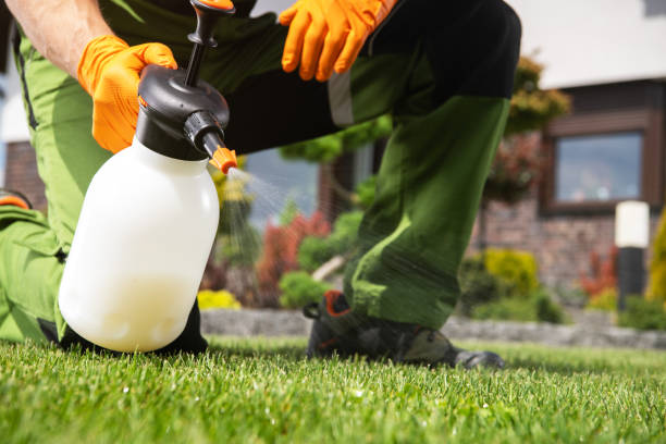 Professional Pest Control in Moores Mill, AL