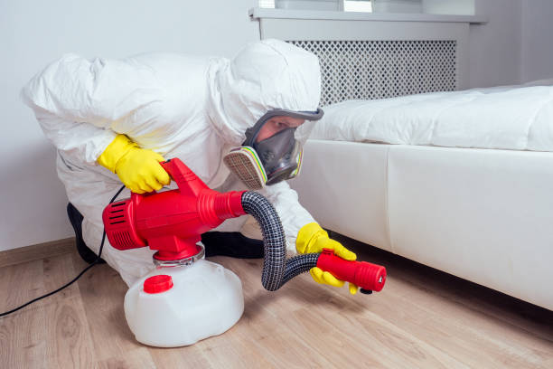 Best Termite Control Services  in Moores Mill, AL