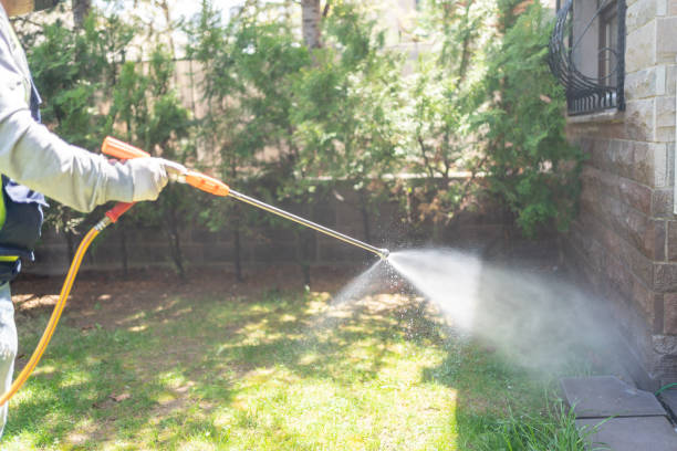 Best Best Pest Control Companies  in Moores Mill, AL