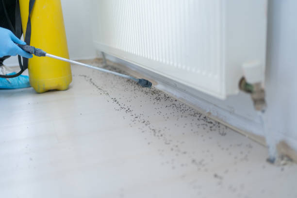 Best Pest Prevention Services  in Moores Mill, AL