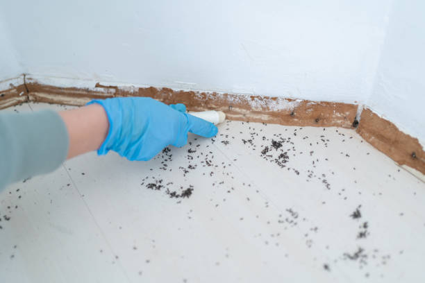 Best Pest Inspection Near Me  in Moores Mill, AL